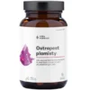AURA HERBALS Ostropest Plamisty 80% Sylimaryny 90 kaps