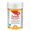 DR. JACOB'S Żelazo Liposomalne w Proszku 50 g