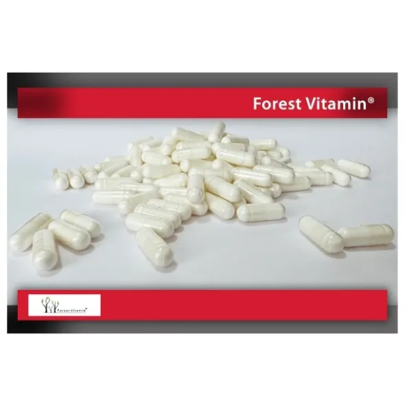 FOREST VITAMIN Acetylo-L-Karnityna Hcl 500 mg 60 kaps