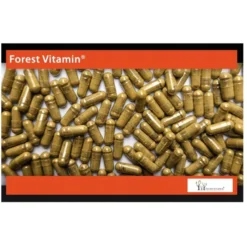 FOREST VITAMIN Ashwagandha 120 mg 100 kaps