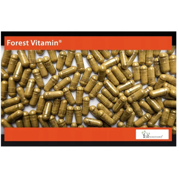 FOREST VITAMIN Ashwagandha 120 mg 100 kaps