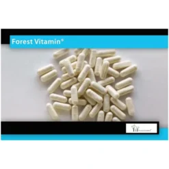 FOREST VITAMIN BCAA 150 kaps