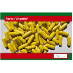 FOREST VITAMIN Berberyna HCL 400 mg 60 kaps