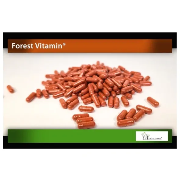FOREST VITAMIN Beta Karoten 6mg 100 kaps
