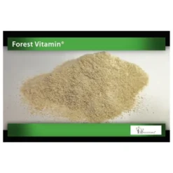 FOREST VITAMIN Błonnik Ziemniaczany 300g