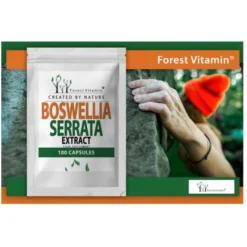 FOREST VITAMIN Boswellia Serrata 400mg 100 kaps