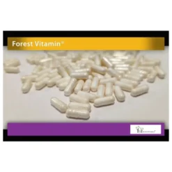 FOREST VITAMIN B1 Thiamine 100 caps