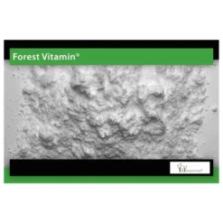 FOREST VITAMIN CDP Cholina 25g