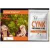 FOREST VITAMIN Cynk 100 kaps