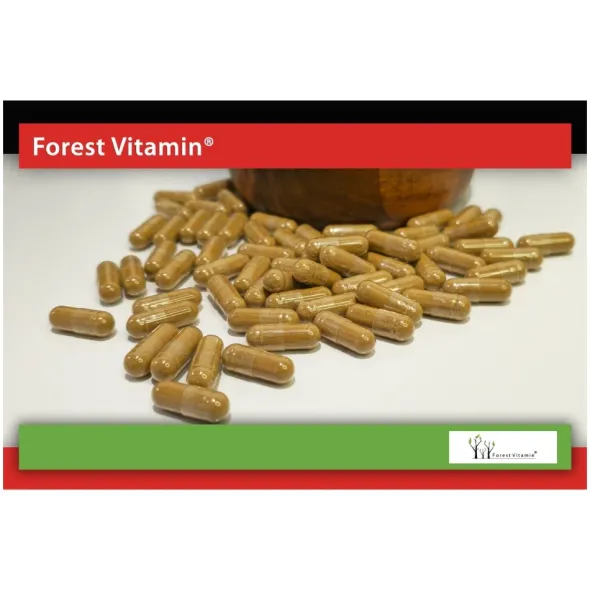FOREST VITAMIN Cytryniec Chiński 300 mg 60 kaps