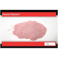 FOREST VITAMIN Dzika Róża 100 g