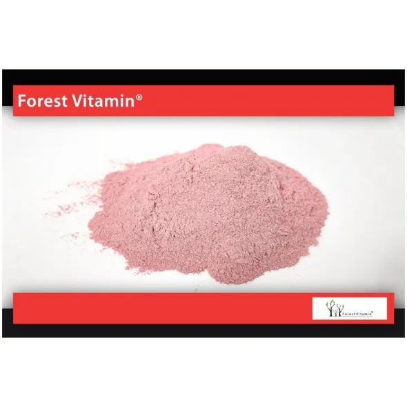FOREST VITAMIN Dzika Róża 100 g