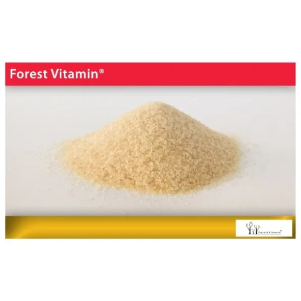 FOREST VITAMIN Żelatyna Wołowa 1 kg