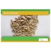 FOREST VITAMIN Żeń-Szeń 200mg+ Miłorząb90mg 60 kaps