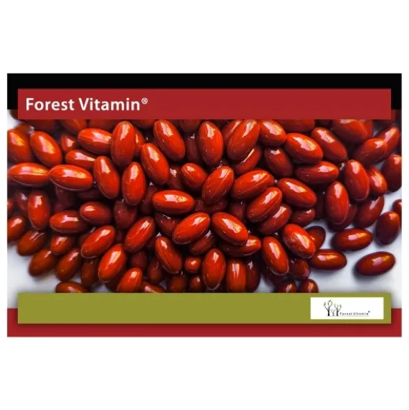FOREST VITAMIN Koenzym Q10 100mg 100 kaps