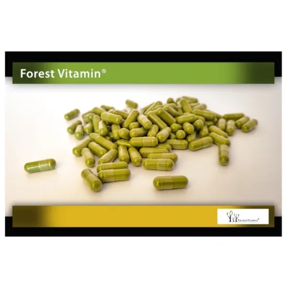 FOREST VITAMIN Matcha 500 mg 60 kaps