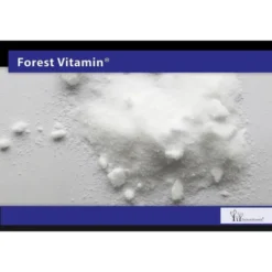 FOREST VITAMIN MSM 500 g