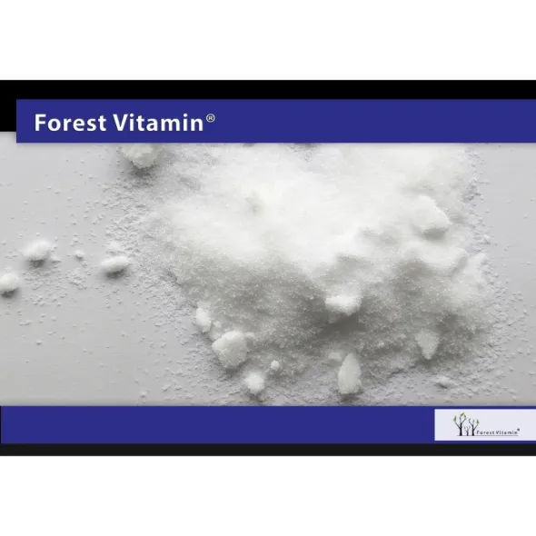 FOREST VITAMIN MSM 500 g