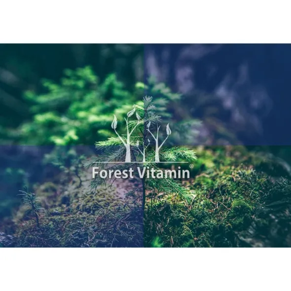 FOREST VITAMIN MSM 500 g