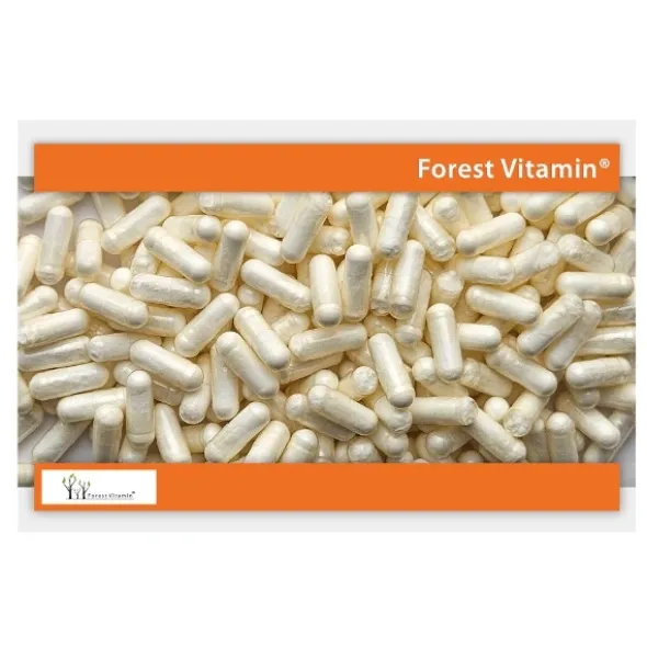 FOREST VITAMIN NAC 200 mg 100 kaps