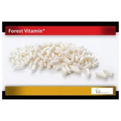 FOREST VITAMIN Niacyna 100 mg 100 kaps