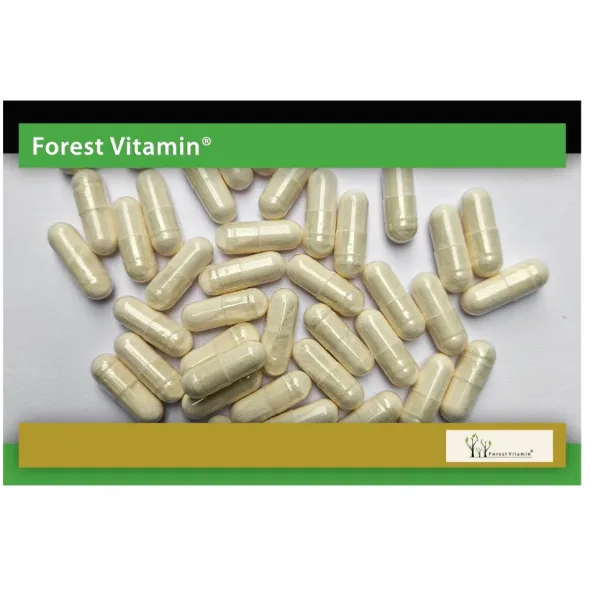 FOREST VITAMIN Ocet Jabłkowy 500mg 60 kaps