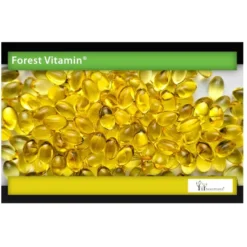 FOREST VITAMIN Olej z Nasion Wiesiołka 500mg60 kaps