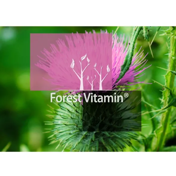 FOREST VITAMIN Ostropest 50 g