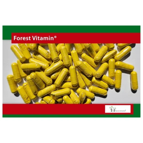 FOREST VITAMIN Siarczan Berberyny 400 mg 60 kaps
