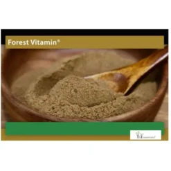 FOREST VITAMIN Soplówka Jeżowata 50 g