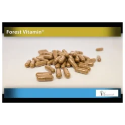 FOREST VITAMIN Soplówka Jeżowata Premium 400 mg 60 kaps