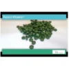 FOREST VITAMIN Spirulina Organiczna 250mg 1000 tabs