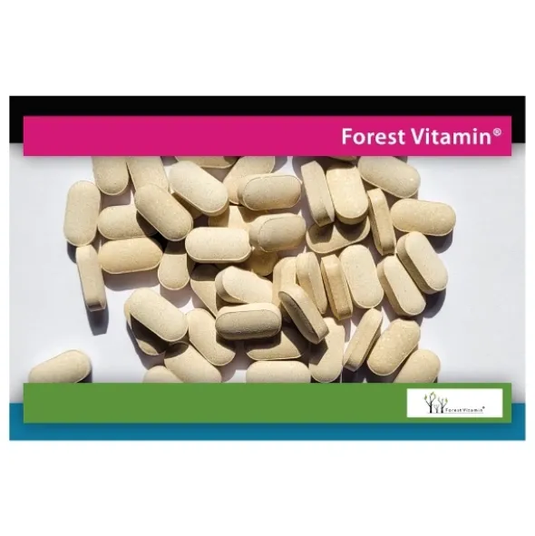 FOREST VITAMIN Witaminy i Minerały Full Spectrum 60 tabs