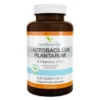 MEDVERITA Lactobacillus Plantarum 5 mld CFU 120 kaps