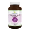 MEDVERITA Niepokalanek Pospolity 500 mg 60 kaps