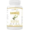 NATURAL HERBS Bambus Ekstrakt 350 mg 60 kaps