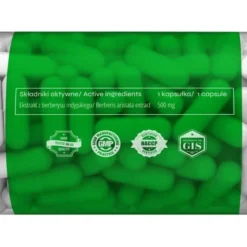 nowmax® Berberis Standardized Extract 500mg 100 kaps