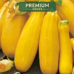 PREMIUM SEEDS Cukinia Goldena Nasiona 3 g