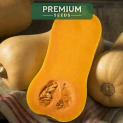PREMIUM SEEDS Dynia Piżmowa Waltham Butternut Nasiona 3 g