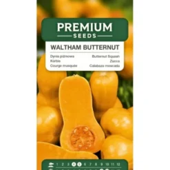 PREMIUM SEEDS Dynia Piżmowa Waltham Butternut Nasiona 3 g